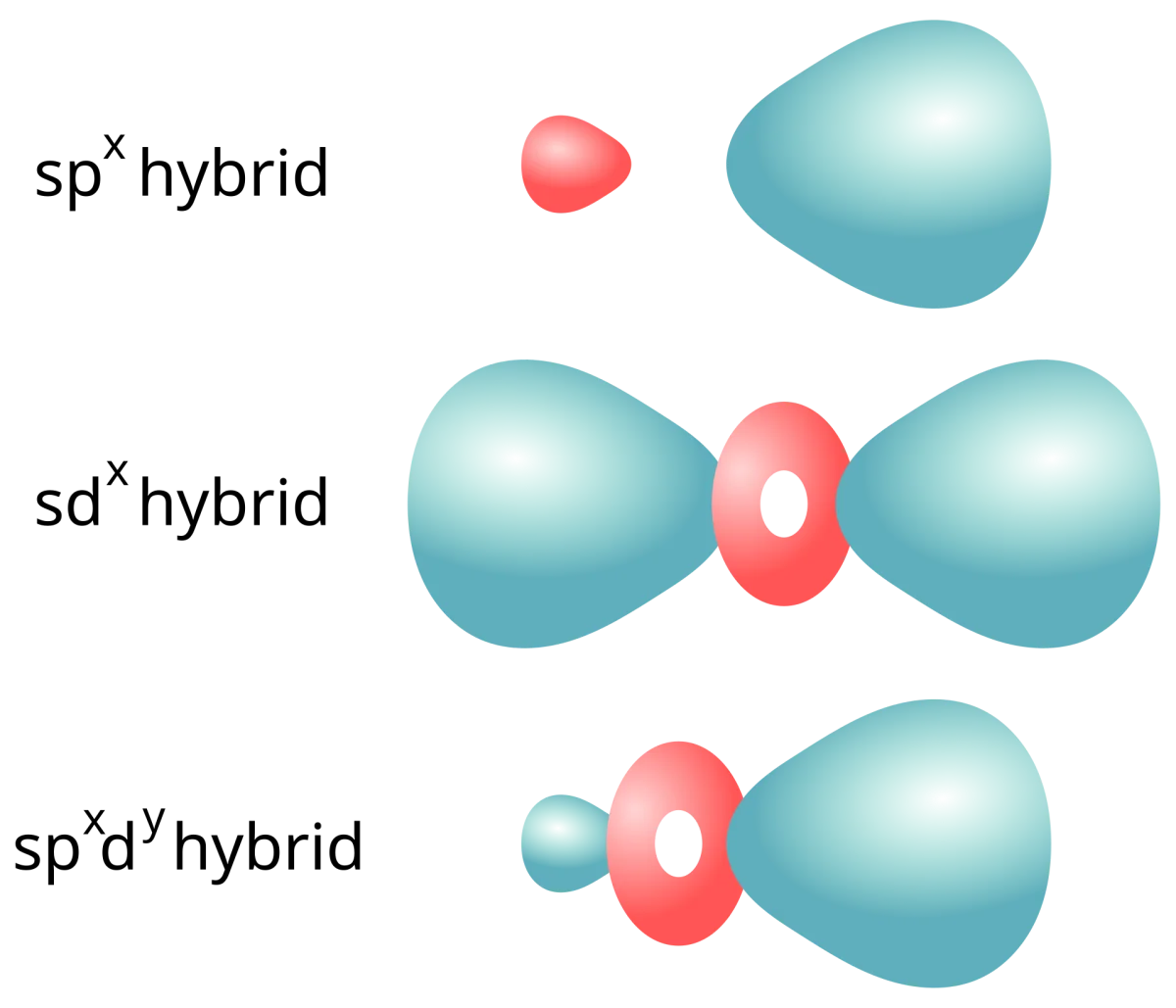 Hybrid orbitals built from combinations of s and p atomic orbitals, producing tetrahedral sp3, trigonal planar sp2, and linear sp geometries