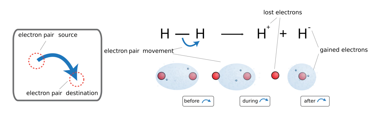 A double-headed curved arrow showing the movement of an electron pair from an electron source to a destination