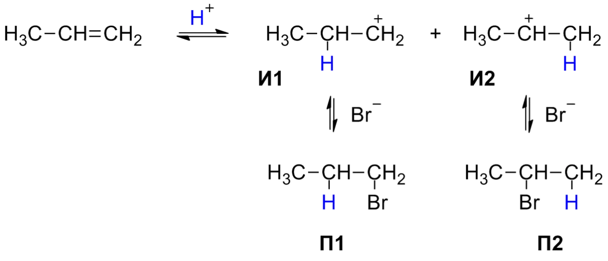 Markovnikov's rule showing HX addition to an alkene giving the product where H goes to the less substituted carbon, via the more stable carbocation intermediate
