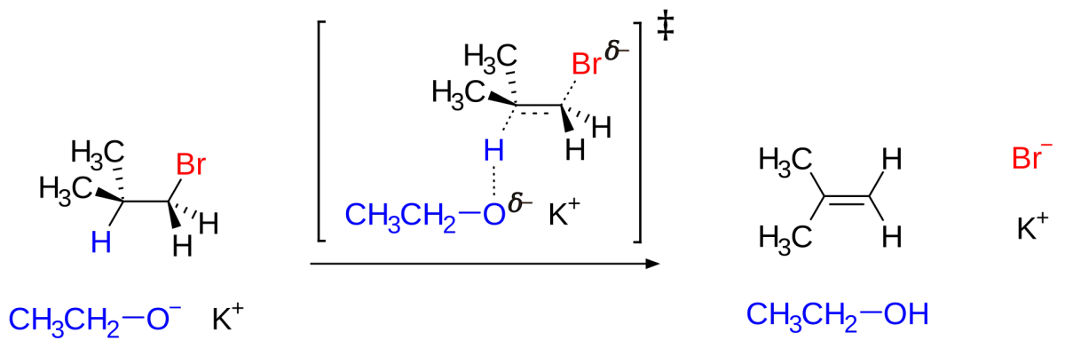 E2 elimination mechanism showing concerted loss of H and leaving group with formation of C=C pi bond
