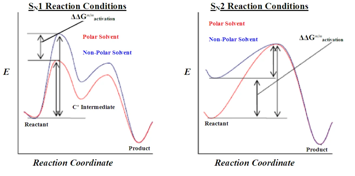 SN1 vs SN2 comparison showing stereochemistry, kinetics, and substrate preference side-by-side