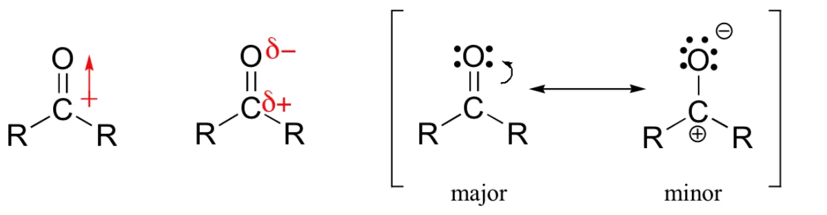 Resonance showing how the carbonyl carbon becomes electrophilic through polarization of the C=O bond