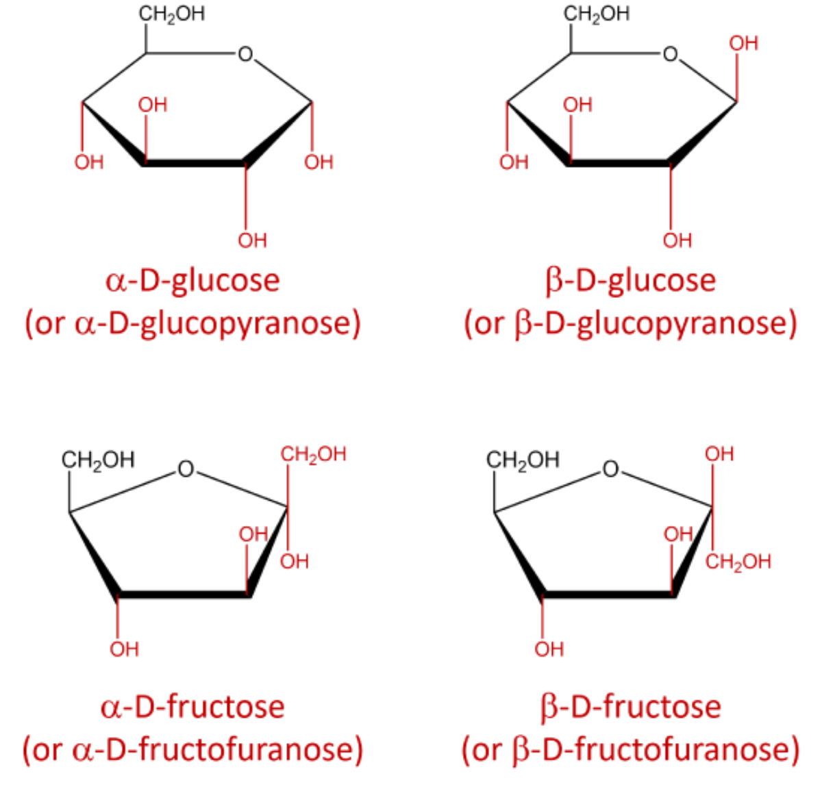 Haworth projections of glucose (pyranose, 6-ring) and fructose (furanose, 5-ring) as their cyclic hemiacetal forms