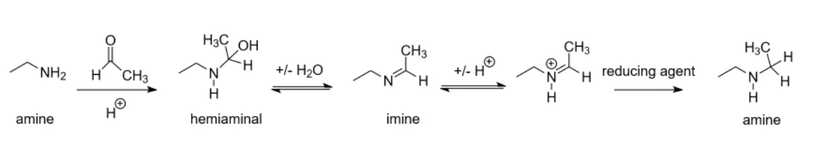 Reductive amination reaction scheme showing carbonyl plus amine forming imine intermediate, then reduction by NaBH3CN to give the substituted amine