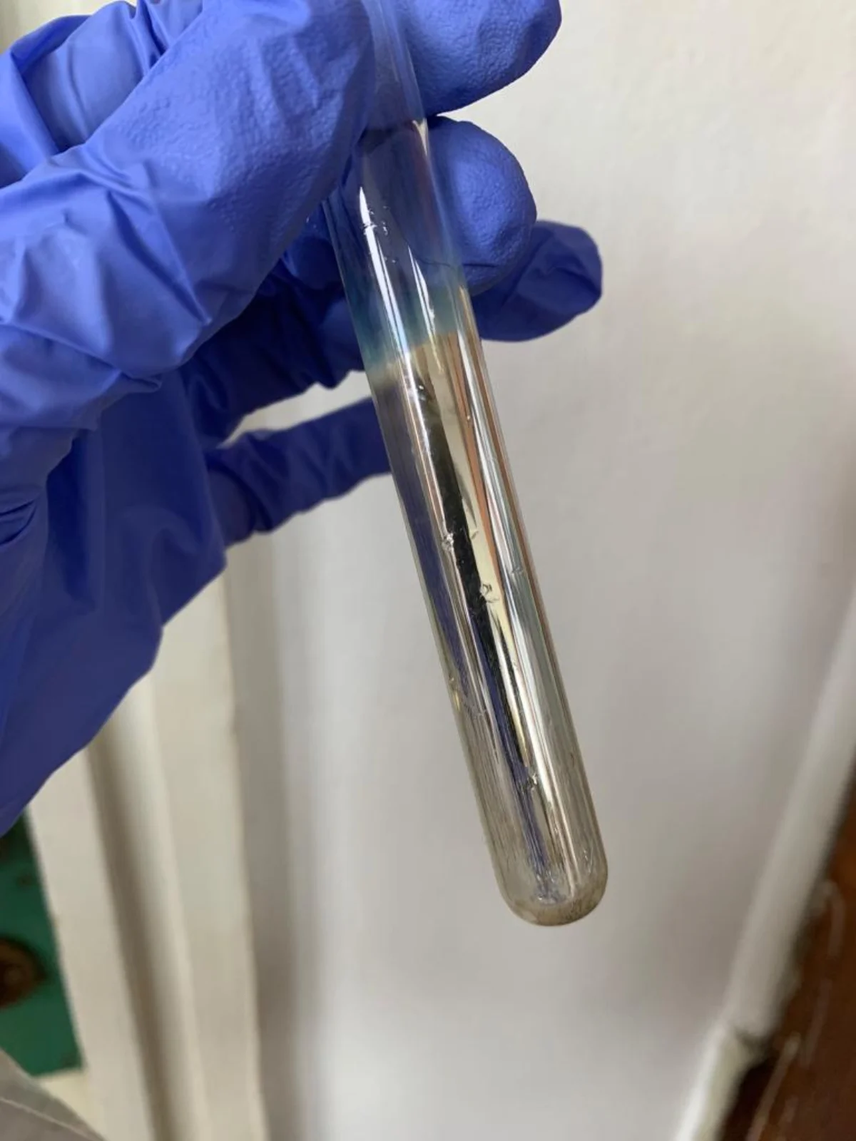 Test tube with metallic silver mirror deposited on the inside wall after reaction of Tollens reagent with an aldehyde