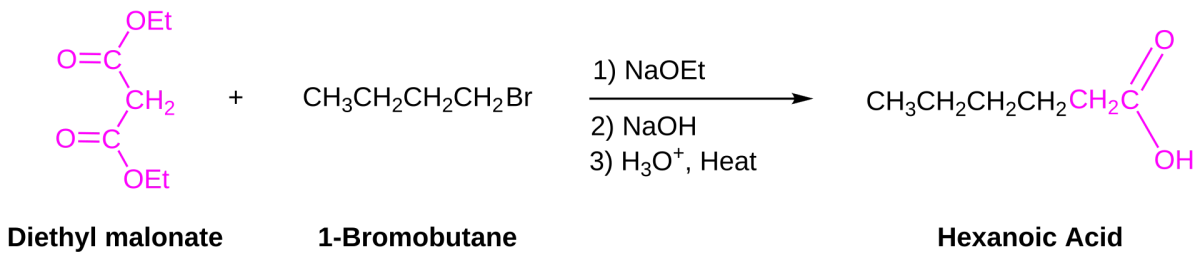 Malonic ester synthesis example showing deprotonation, alkylation of the malonate carbanion, saponification, and decarboxylation to yield a substituted acetic acid