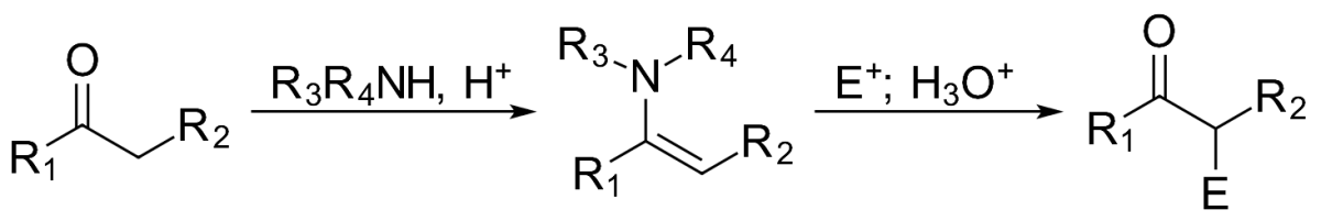 Stork enamine Michael addition scheme showing ketone plus secondary amine forming enamine, which attacks a Michael acceptor and hydrolyzes back to a dicarbonyl product