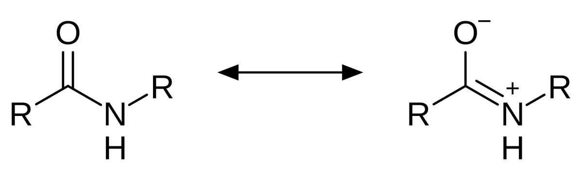 Amide resonance showing the nitrogen lone pair donating into the carbonyl, giving partial double-bond character to the C-N bond
