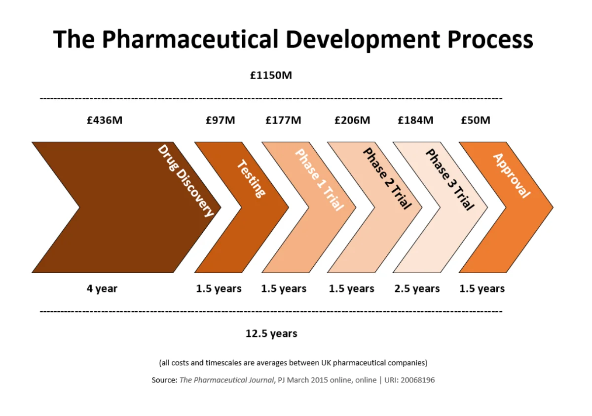 Diagram of the drug development pipeline showing the progression from preclinical testing through Phase I (safety), Phase II (efficacy), Phase III (large-scale confirmation), FDA review, and Phase IV (post-market surveillance), with approximate timelines and participant counts at each stage