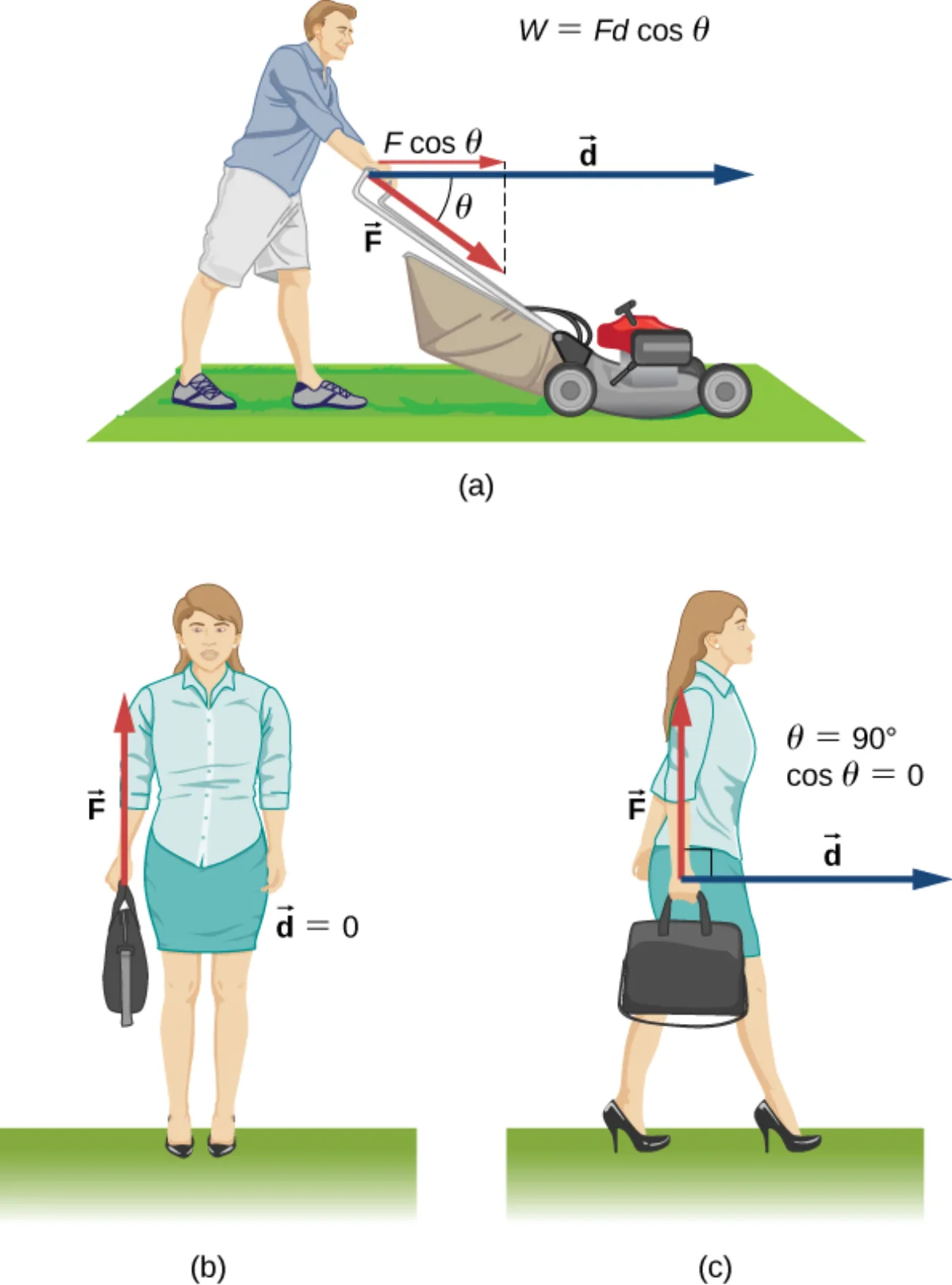 Person pushing a lawnmower at an angle θ to the horizontal, showing the force decomposed into a parallel component F cos θ along the displacement and a perpendicular component