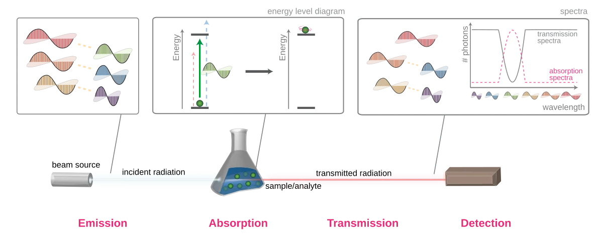 Comparison of continuous, emission, and absorption spectra showing a full rainbow for the continuous spectrum, bright colored lines on a dark background for the emission spectrum, and dark lines on a rainbow background for the absorption spectrum, with matching wavelength positions