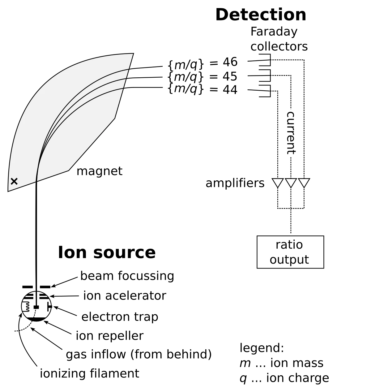 Schematic of a mass spectrometer showing the four stages: ionization source, accelerating electric field, magnetic deflection region where ions follow curved paths of different radii based on mass-to-charge ratio, and detector